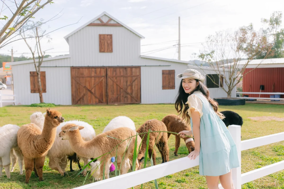 Công Ty TNHH TM & DV Du Lịch DALAT HOLIDAY