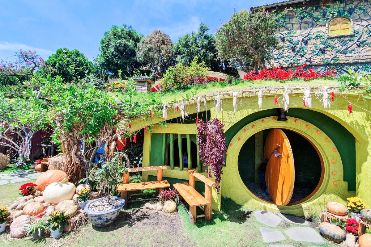 Công Ty TNHH TM & DV Du Lịch DALAT HOLIDAY