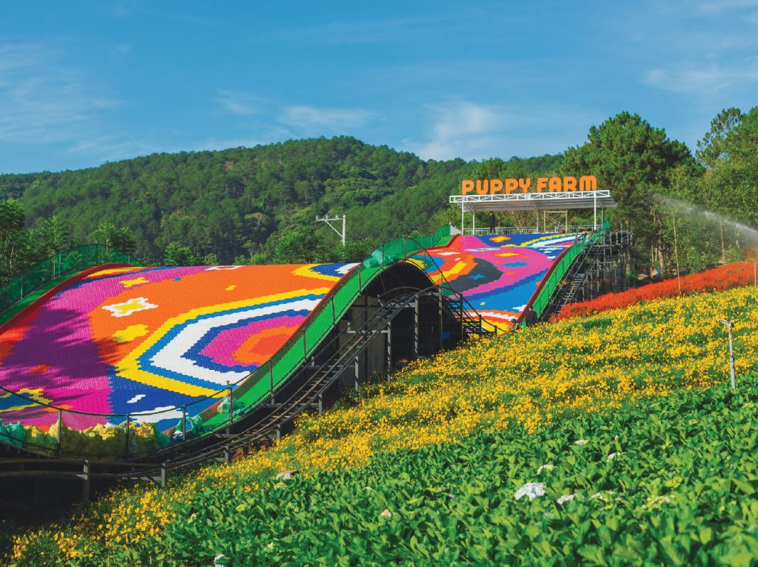 Công Ty TNHH TM & DV Du Lịch DALAT HOLIDAY