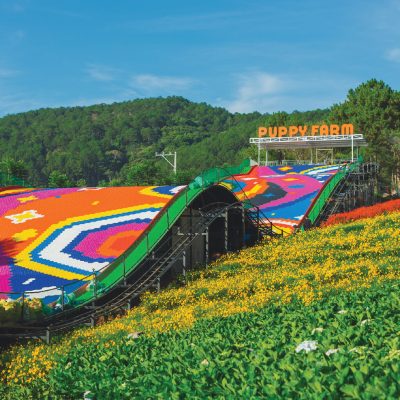Tour Đà Lạt - Mongoland - Puppyfram - Fairytale Land