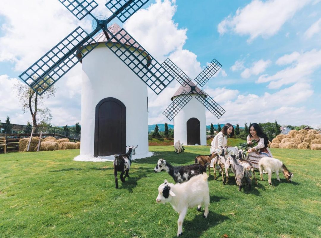 Công Ty TNHH TM & DV Du Lịch DALAT HOLIDAY