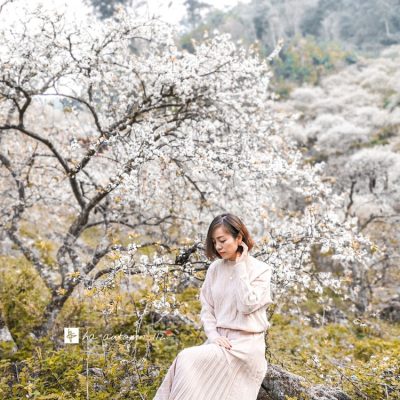 Tour Hà Nội - Mộc Châu - Cầu Kính Bạch Long 2 ngày 1 đêm