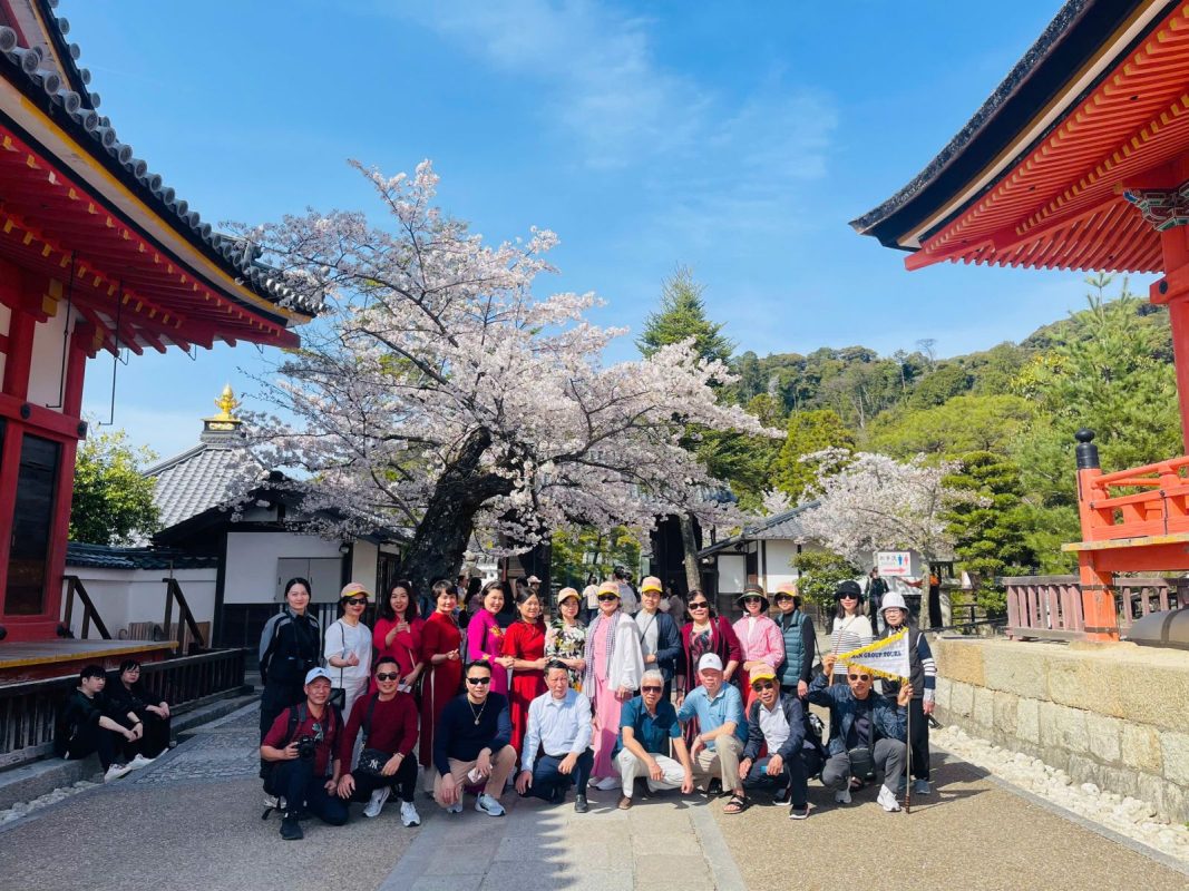 Công Ty TNHH TM & DV Du Lịch DALAT HOLIDAY