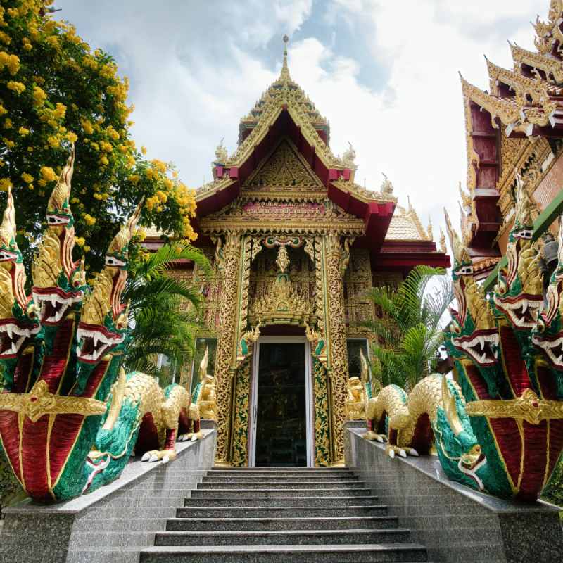 Công Ty TNHH TM & DV Du Lịch DALAT HOLIDAY