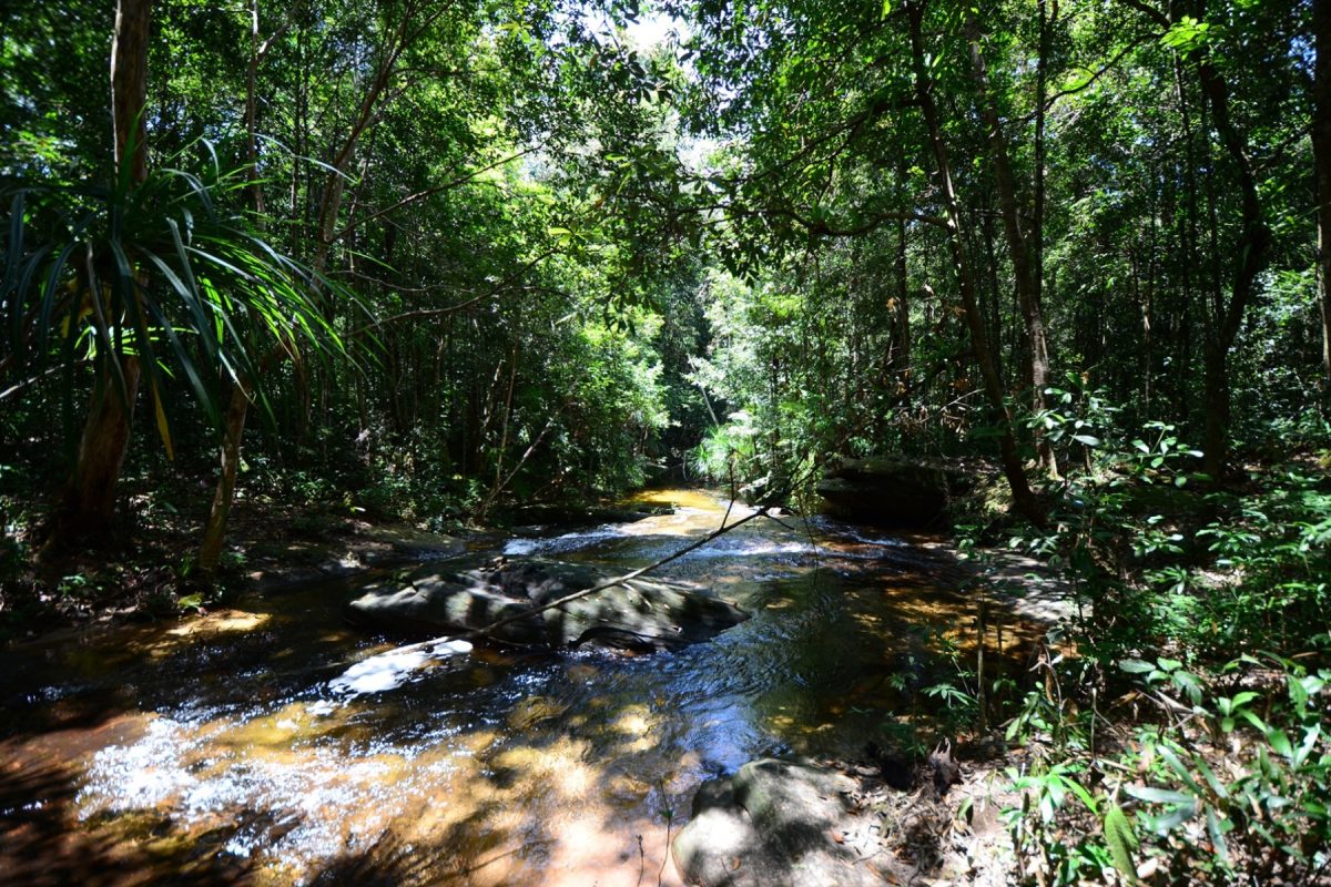 Công Ty TNHH TM & DV Du Lịch DALAT HOLIDAY