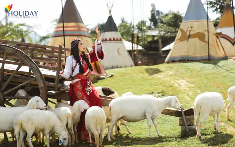 Công Ty TNHH TM & DV Du Lịch DALAT HOLIDAY