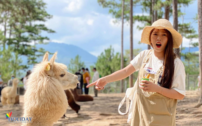 tour-kham-pha-so-thu-zoodoo-da-lat-1-ngay-2