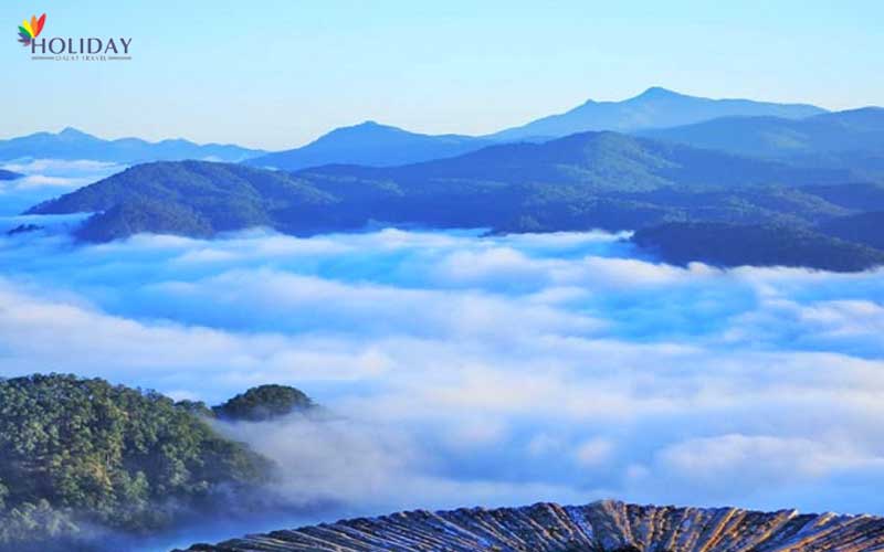tour-thien-duong-san-may-da-lat-1