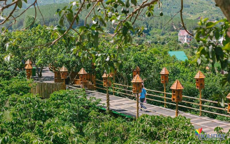 tour-kham-pha-samten-hills-da-lat-1-ngay-10